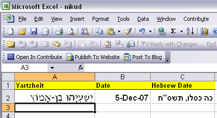 nikud_on_excel